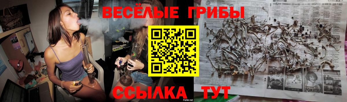 Галлюциногенные грибы мухоморы  Вход с VPN  наркотики  Губкин 