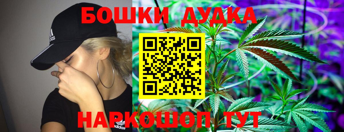 Каннабис индика  Конопля семена  Канабис планчик  Вход с VPN  Губкин 